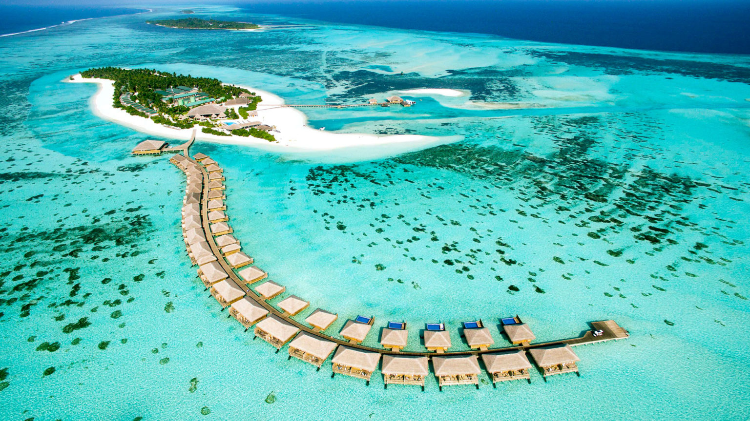 Cocoon maldives где находится